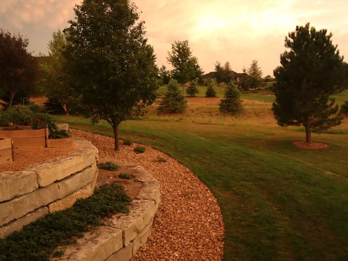 Residential landscape with a welcoming path and lush planting