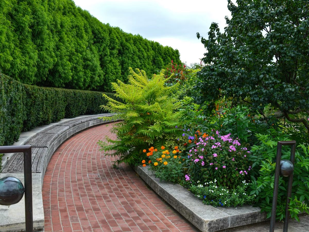 Stone hardscape patio and walkway